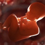 South Dakota abortion law
